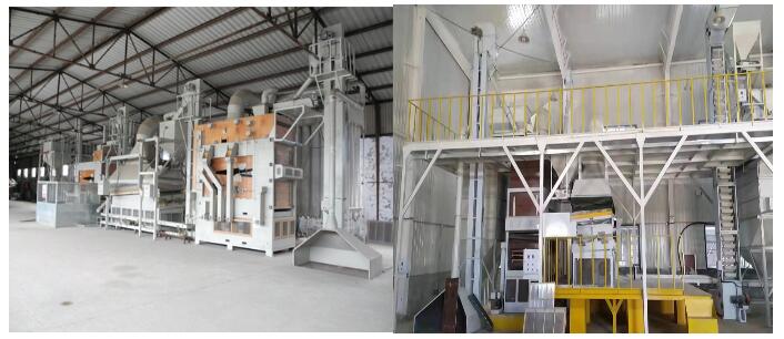 1693988314953187.jpg 01.jpg